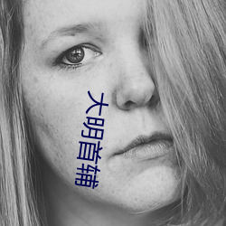 大明首(首)辅