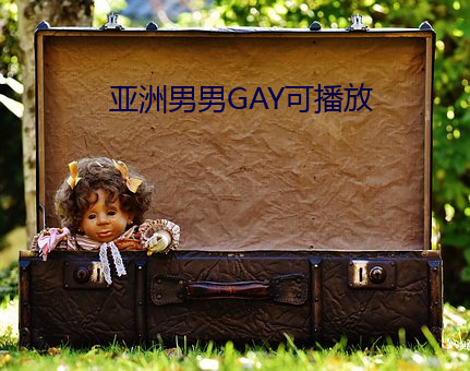 亚洲男男GAY可播放