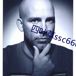 四葉草ssc66655