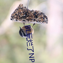 AG真人平台(中国)官方网站