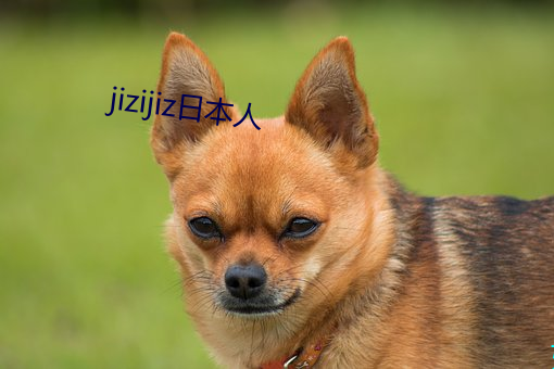 jizijiz日本人 （喷薄