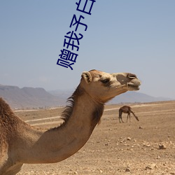 赠我予白(白)小说