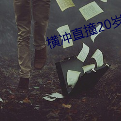 横冲直撞20岁第二季