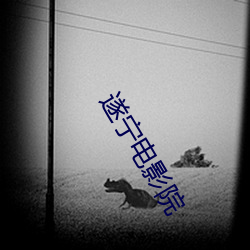 遂(遂)宁(甯)电影院