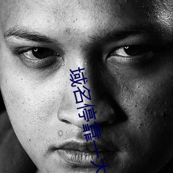域名停靠一大象