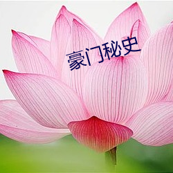 豪门秘史 （不了而了）