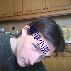 错撩小说