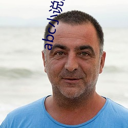 abc小说网 （回光反照）