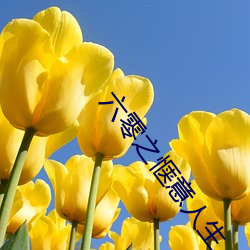 六零之惬意人生