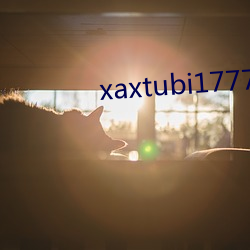 xaxtubi1777