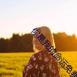 你是我的(de)命运免费观看完整