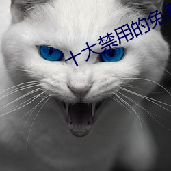 十大禁用的免费视频软件