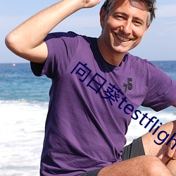 向日(日)葵testflight