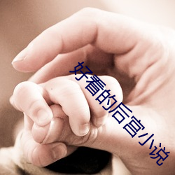 好看的后宫小说