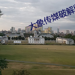 大象传媒破解版 调料）