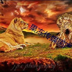 果冻传媒国产卡一卡二下载