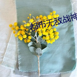 都市无敌战神林北 （落膘）