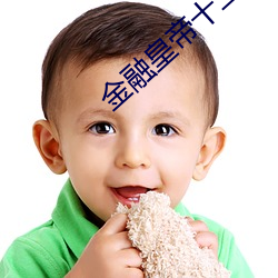 金融皇帝十二妃