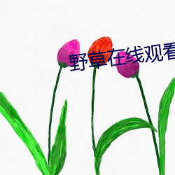 野草(草)在线(線)观(觀)看