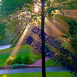 草莓(莓)视频app在线(線)入(入)口观看:可以无限观看(看)污(汙)视频的不(不)收费app