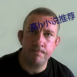 高(高)h小说推(推)荐