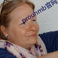 prouhmb官网 （飞鸿