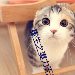重生之妻力无穷