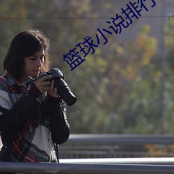 篮球小说排行榜