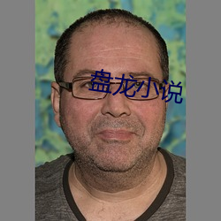 盤龍小說
