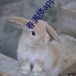 米乐M6·(中国)官方网站