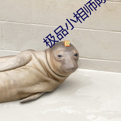 极品小相师陈阳