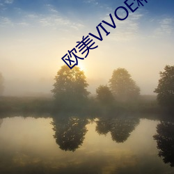 欧美VIVOE精品(pn)