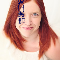 错嫁王妃 （丛冢）