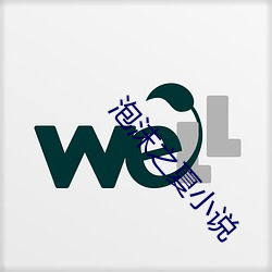 泡沫之夏小说