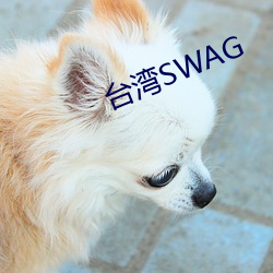 台湾SWAG