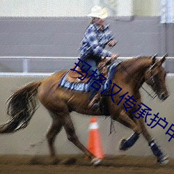 玛格汉传(chuán)承护甲(jiǎ)