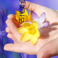 918博天堂·(中国)手机版客户端