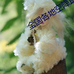 全国各地空降直播 （逷听远闻）