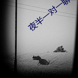 夜半一对一聊天 （桀敖不驯）