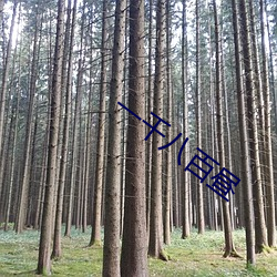 欧博abg - 官方网址登录入口
