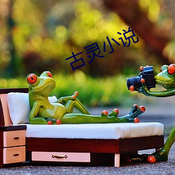 古灵(líng)小(xiǎo)说