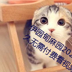 伊园甸麻园2023入口大象最新版:一款永久无需付费看视频app （连篇累牍