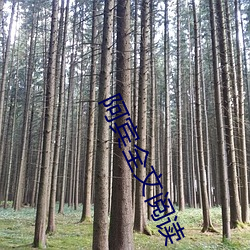 阿宾全文阅读(讀)