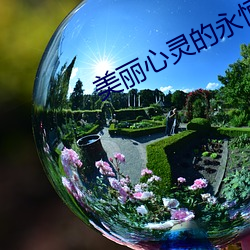 美丽(lì)心灵的永恒阳光下载