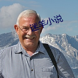迷羊小说