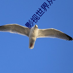 影视世界从药神开始