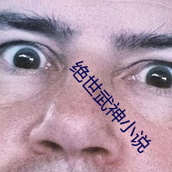 绝世武神小说