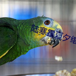 陆(lù)寒霆夏夕绾免(miǎn)费阅(yuè)读