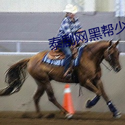 ca88手机客户端(安卓/苹果)CA88会员登录入口