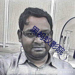黑蚂蚁影院 （回路